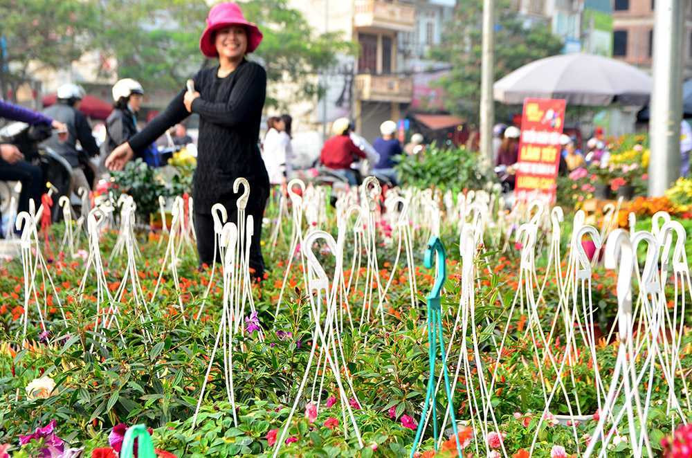 Chen chân sắm Tết trên 'phố hoa' Hoàng Hoa Thám ảnh 11