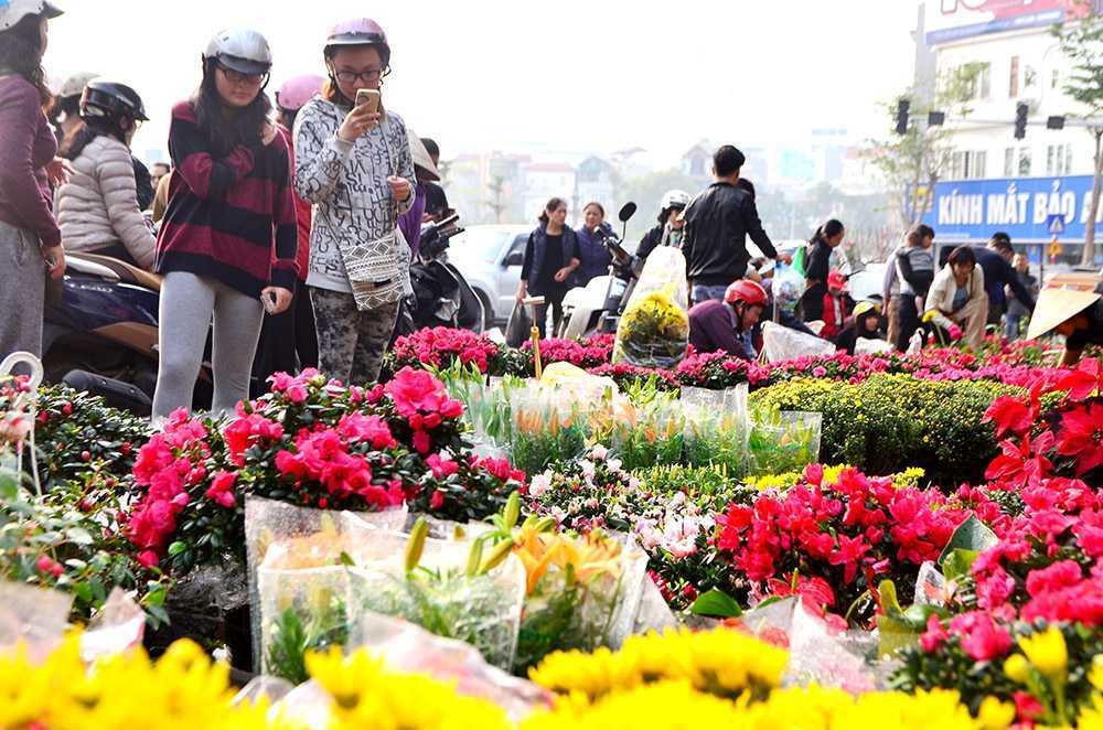 Chen chân sắm Tết trên 'phố hoa' Hoàng Hoa Thám ảnh 1