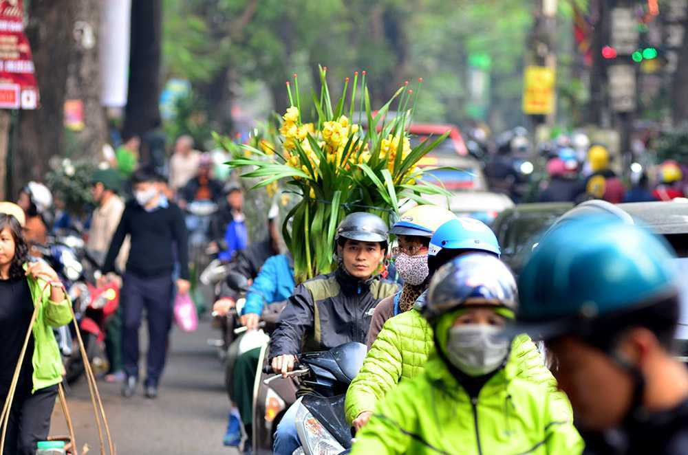Chen chân sắm Tết trên 'phố hoa' Hoàng Hoa Thám ảnh 15