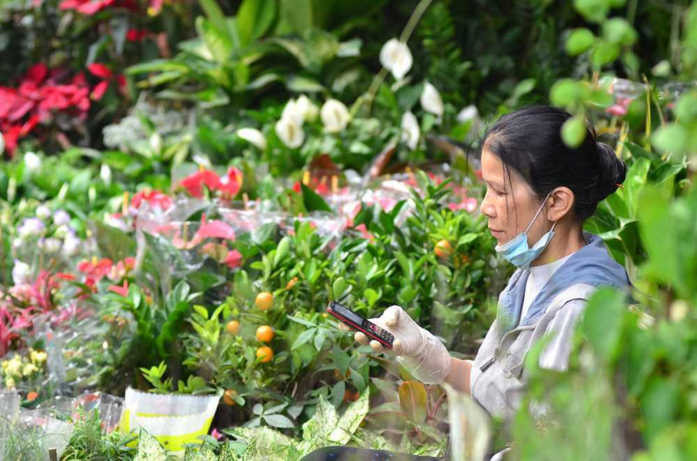 Chen chân sắm Tết trên 'phố hoa' Hoàng Hoa Thám ảnh 6