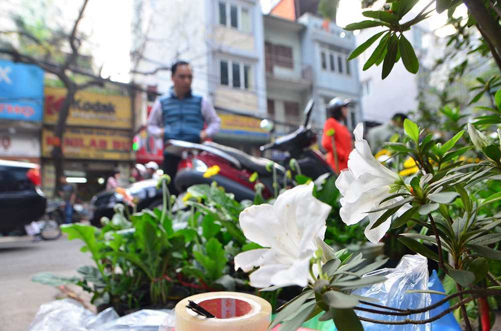 Chen chân sắm Tết trên 'phố hoa' Hoàng Hoa Thám ảnh 4