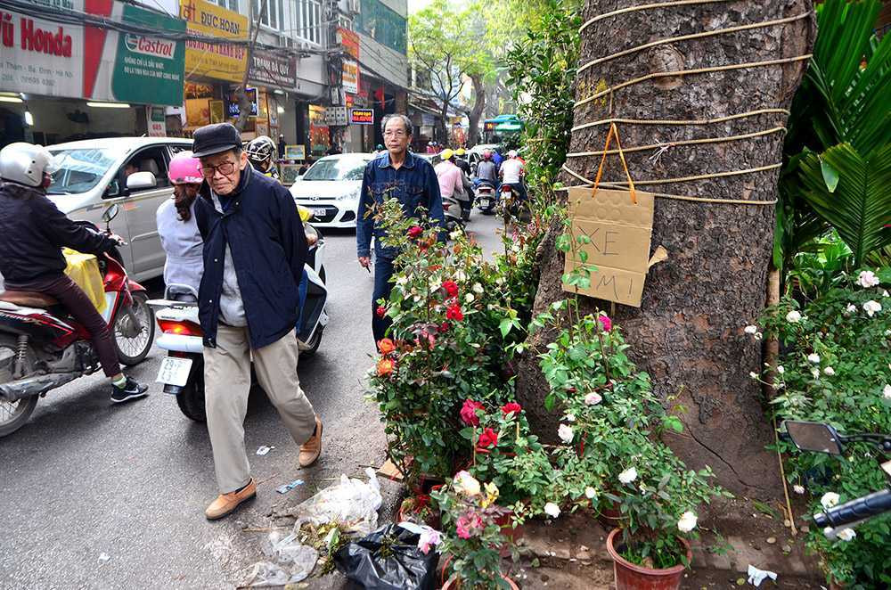 Chen chân sắm Tết trên 'phố hoa' Hoàng Hoa Thám ảnh 5