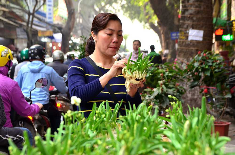 Chen chân sắm Tết trên 'phố hoa' Hoàng Hoa Thám ảnh 3