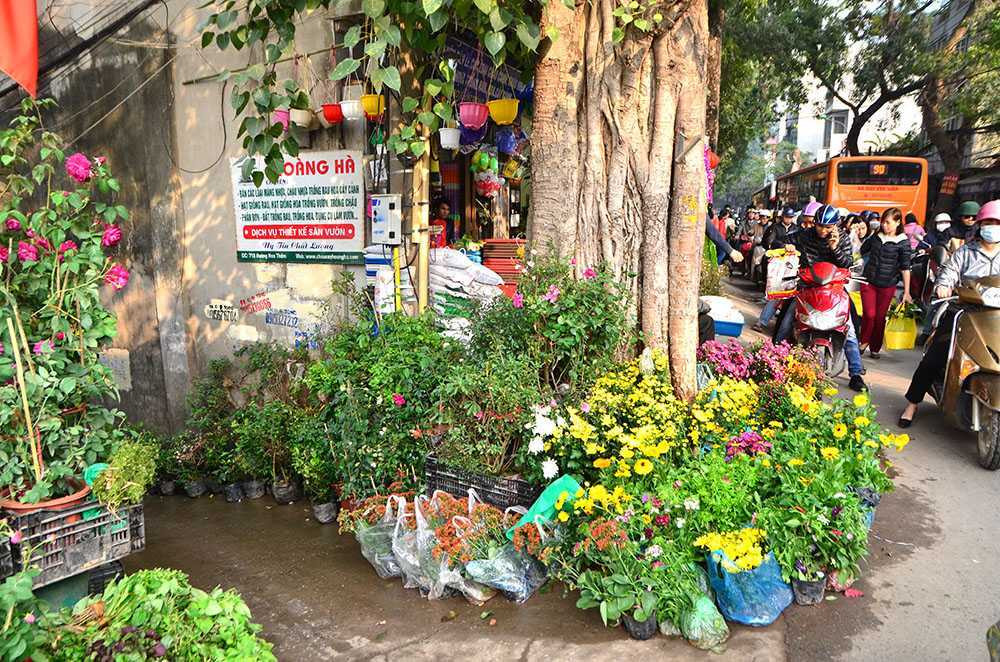 Chen chân sắm Tết trên 'phố hoa' Hoàng Hoa Thám ảnh 7