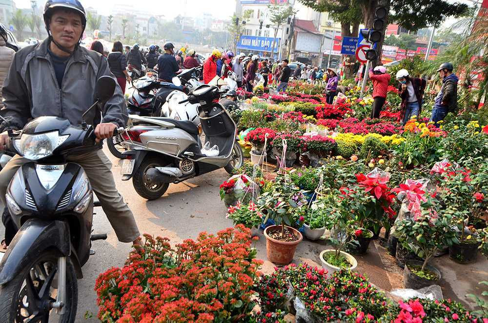 Chen chân sắm Tết trên 'phố hoa' Hoàng Hoa Thám ảnh 2