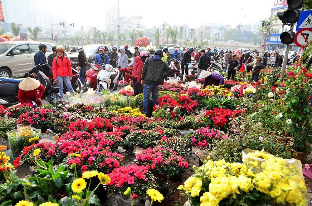 Chen chân sắm Tết trên 'phố hoa' Hoàng Hoa Thám ảnh 8