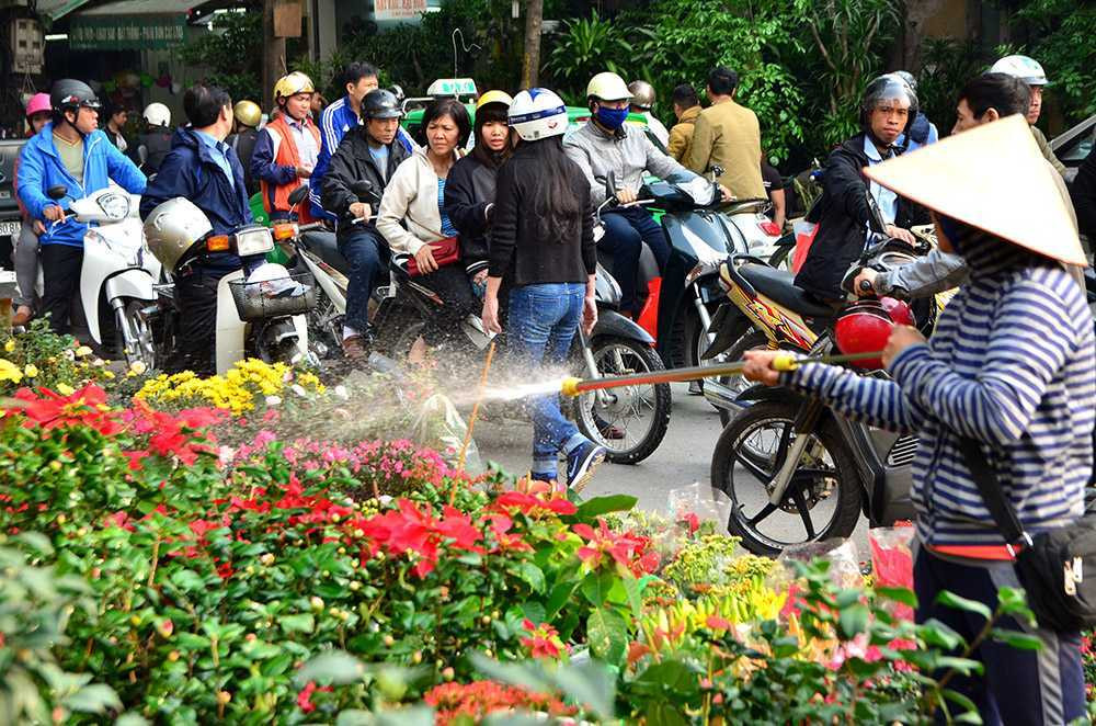 Chen chân sắm Tết trên 'phố hoa' Hoàng Hoa Thám ảnh 9