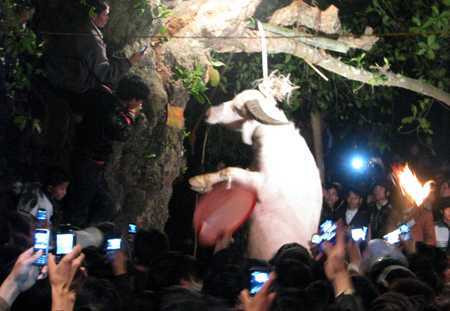 le-hoi-den-dong-cuong-4