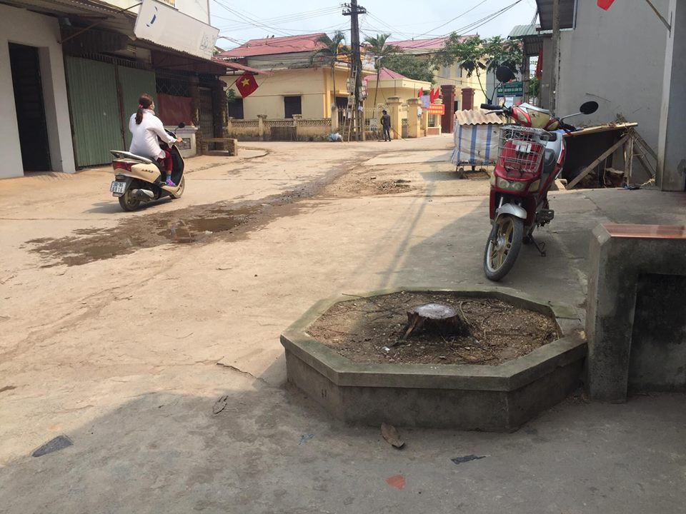 17409512_1459007964132181