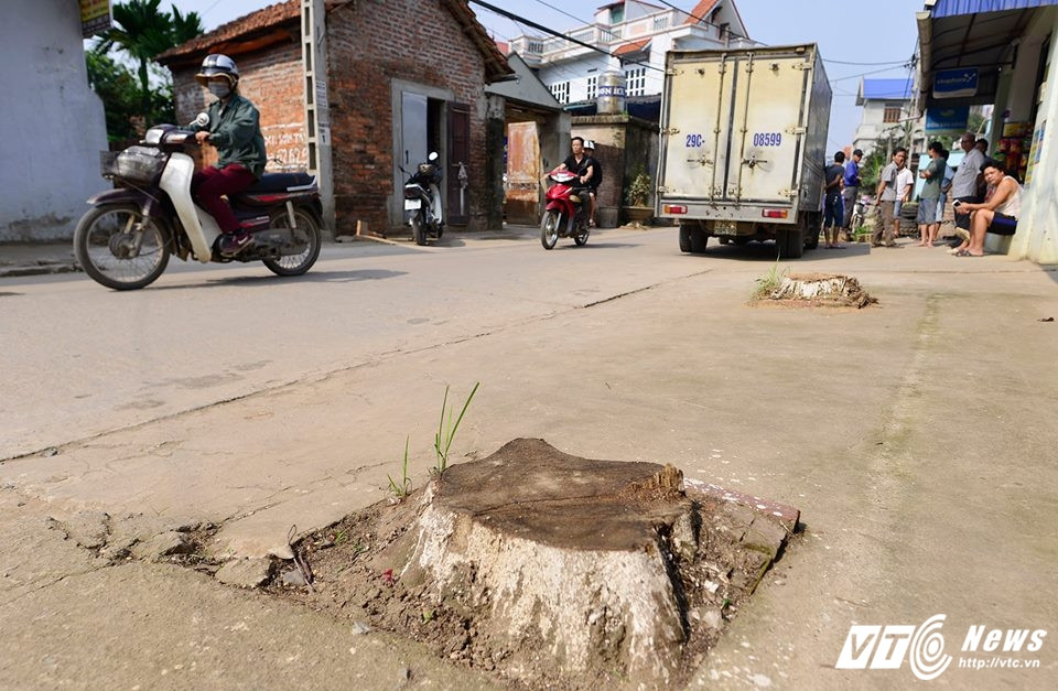 17362528_1456800497672997