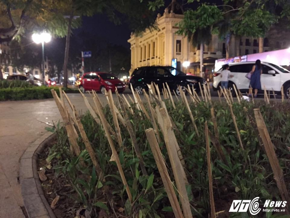 Hinh anh Thue may xuc san nen nha, con gai bi xe can chet 5