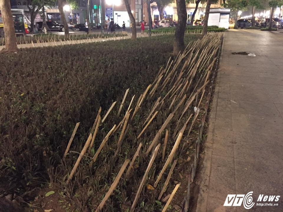 Hinh anh Thue may xuc san nen nha, con gai bi xe can chet 6