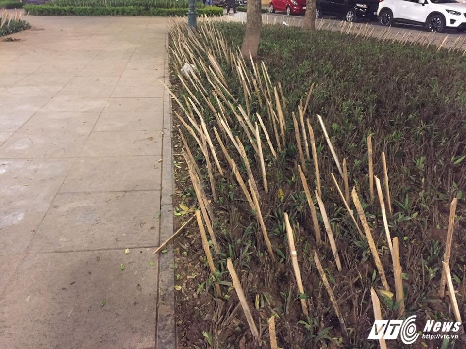 Hinh anh Thue may xuc san nen nha, con gai bi xe can chet 7