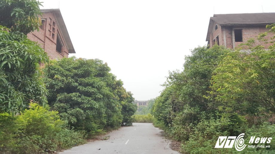 biet thu nam tu son 12345 5