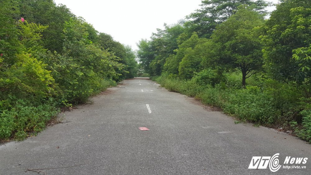 biet thu nam tu son 12345678912 11