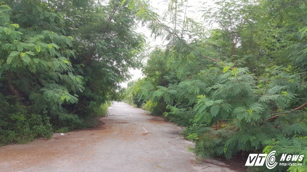 biet thu nam tu son 123456789123456 15