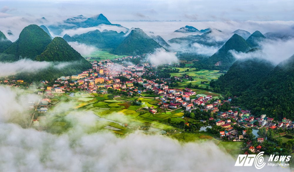 35292159434_5893421f8c_k