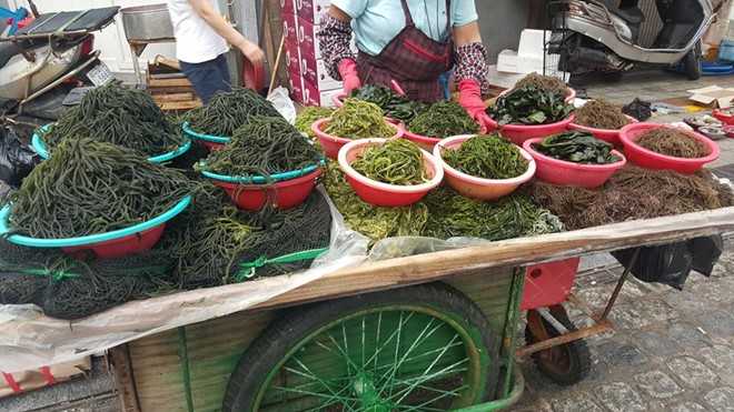 Di cho hai san lon nhat Han Quoc hinh anh 3