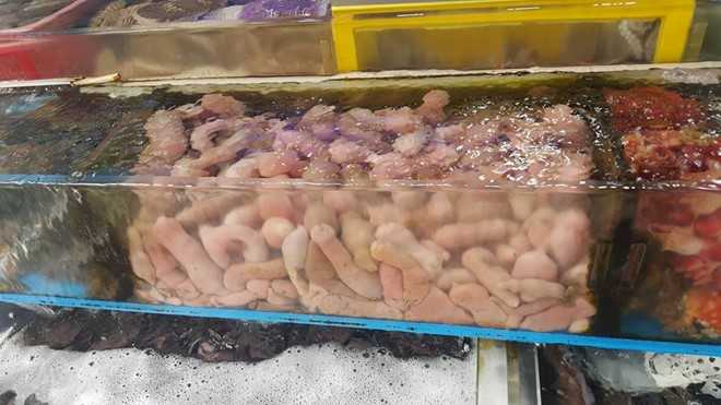 Di cho hai san lon nhat Han Quoc hinh anh 5