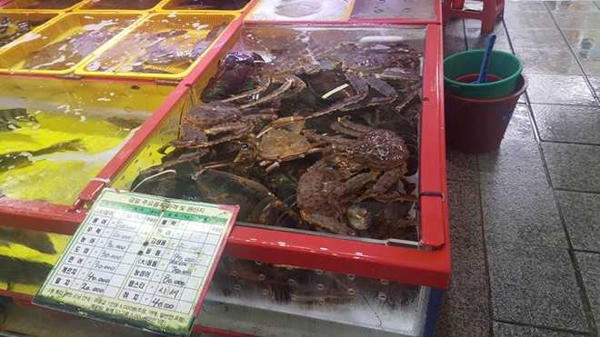 Di cho hai san lon nhat Han Quoc hinh anh 6