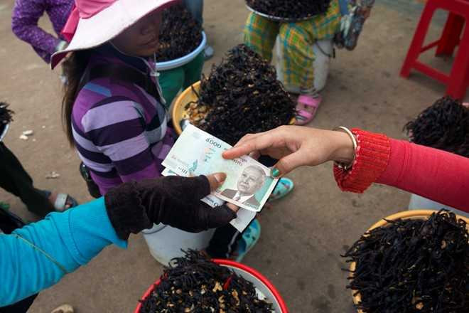 Nghe san nhen van lam dac san o Campuchia hinh anh 13