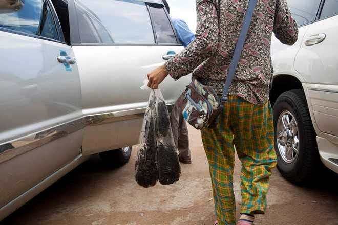 Nghe san nhen van lam dac san o Campuchia hinh anh 12