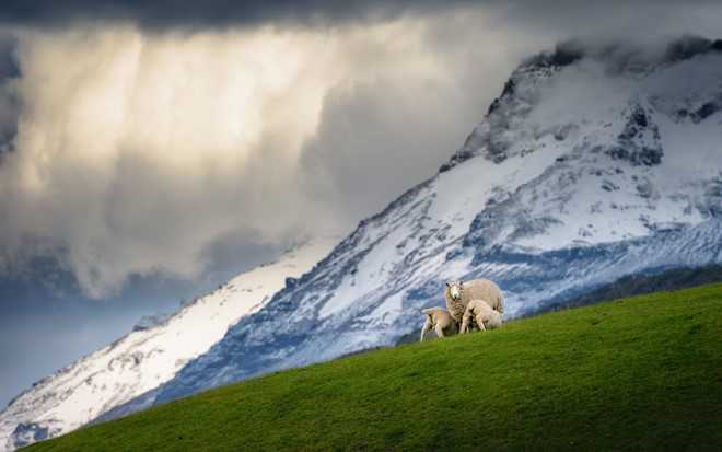 Nhung vung dat hoa xu so than tien khi dong ve hinh anh 12