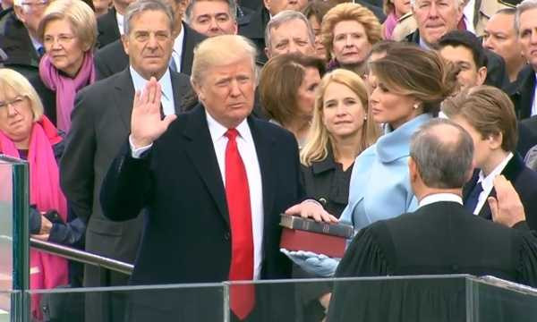 cats-1689-1484931708_600x0