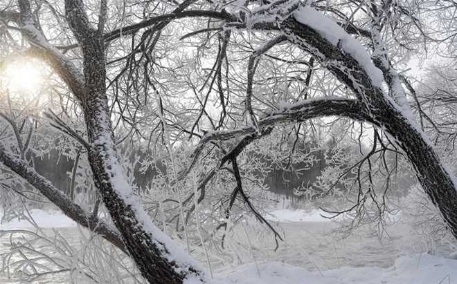 Mua dong trang xoa o dong bac Trung Quoc hinh anh 1