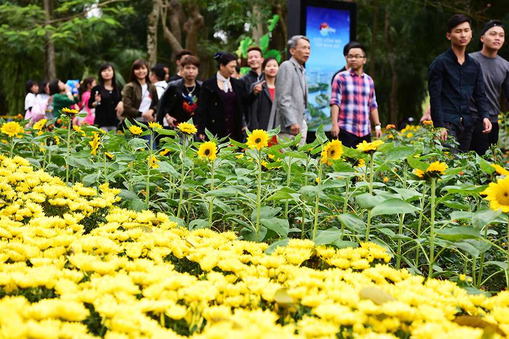 Duong hoa (5)
