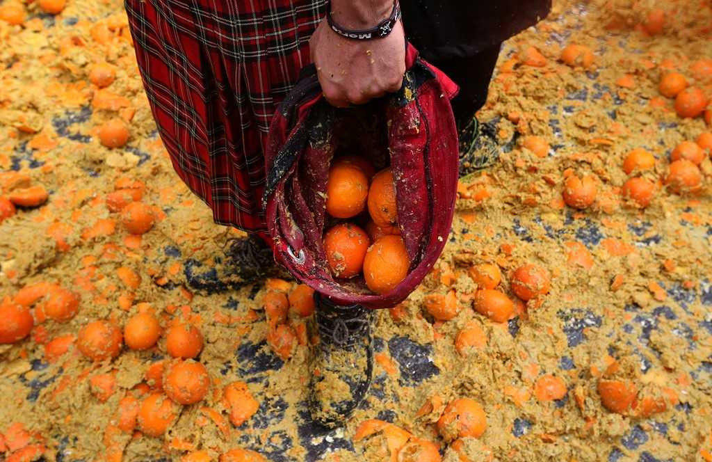 'Tran chien cam' - le hoi dien ro va ruc ro o Italy hinh anh 9