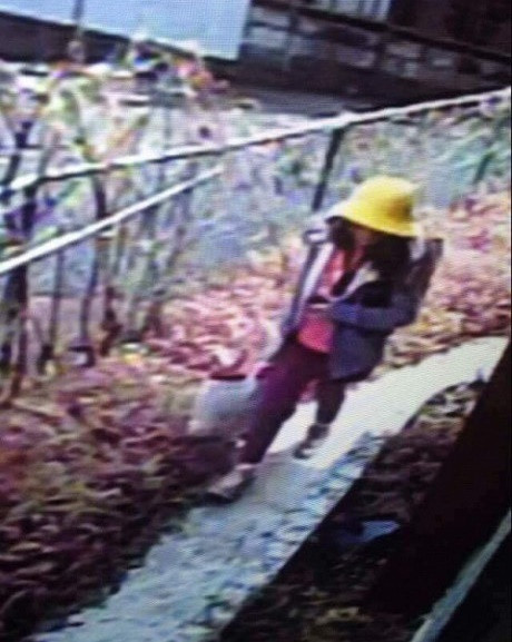 be gai viet nam chet o nhat ban