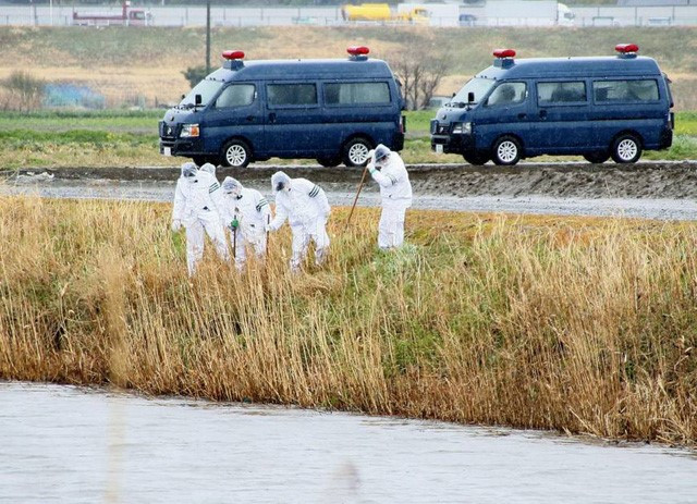 Xac dinh thoi gian be gai nguoi Viet bi sat hai o Nhat hinh anh 1