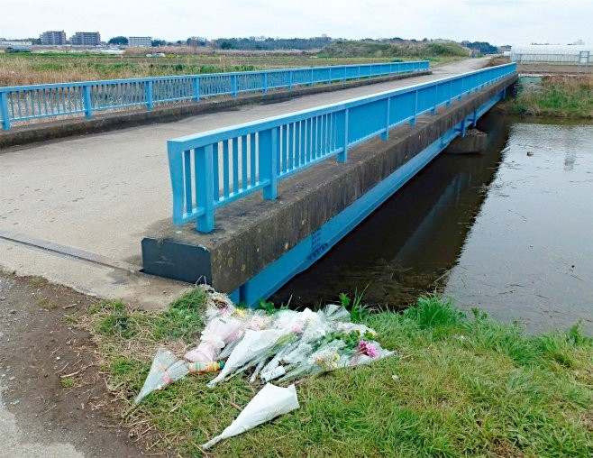 Canh sat Nhat dieu tra hung khi dung sat hai be gai Viet hinh anh 1