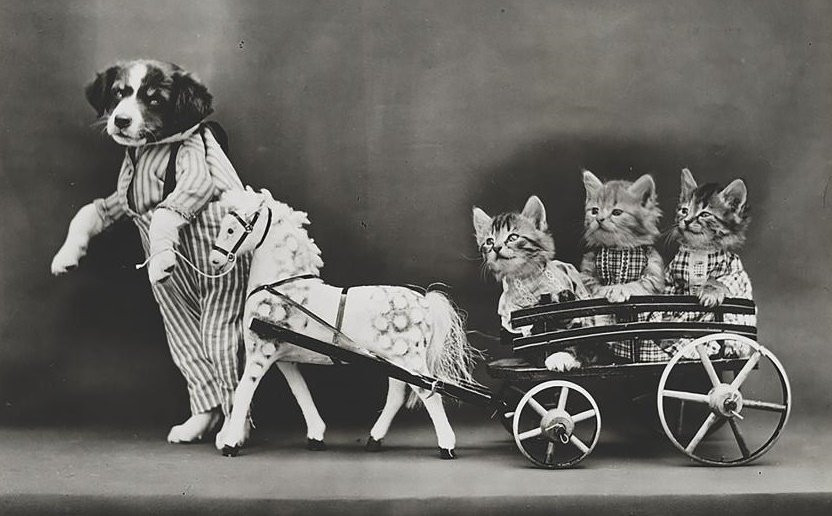 06-nakedanimal.ngsversion.1459517401990.adapt.945.1