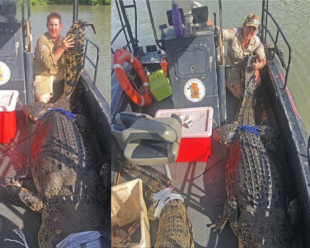 Hinh anh Bat duoc ca sau 'quai vat' lon chua tung thay 4