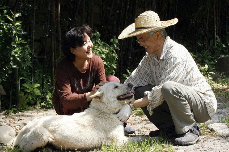 Duong den quyen luc cua tan tong thong Han Quoc hinh anh 10