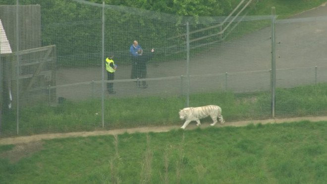 Ho trang can chet nguoi o vuon thu Anh hinh anh 1