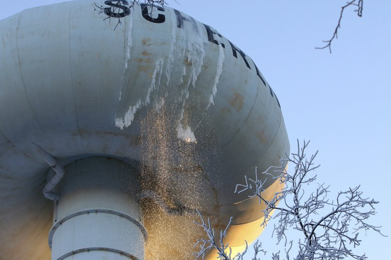 Bao tuyet manh nhat 3 thap nien, Florida lan dau co tuyet roi hinh anh 10