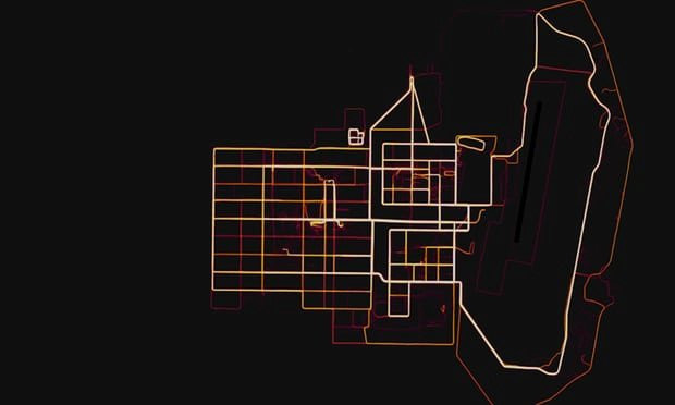 Ung dung theo doi suc khoe lam lo vi tri can cu quan su bi mat cua My hinh anh 1