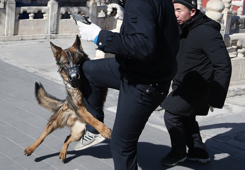 Tet khong nghi cua doi cho tuan tra o Tu Cam Thanh hinh anh 4