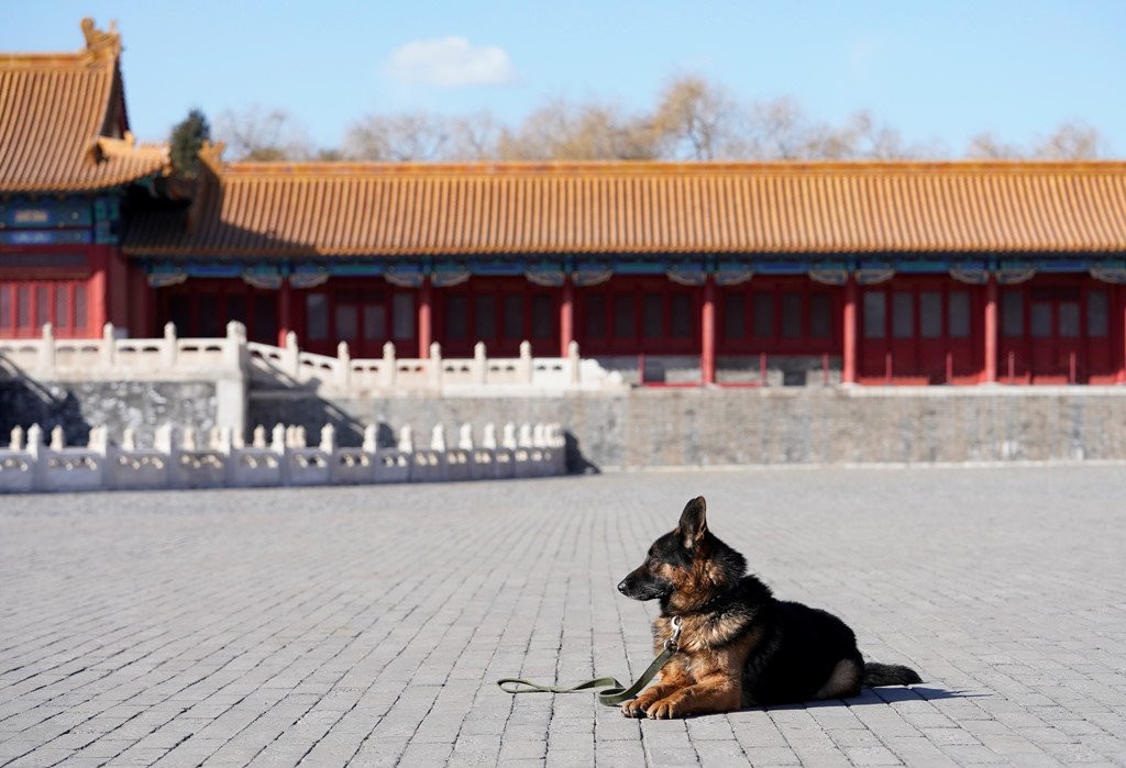 Tet khong nghi cua doi cho tuan tra o Tu Cam Thanh hinh anh 5