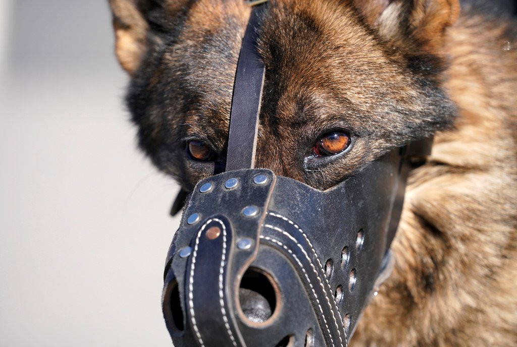 Tet khong nghi cua doi cho tuan tra o Tu Cam Thanh hinh anh 9