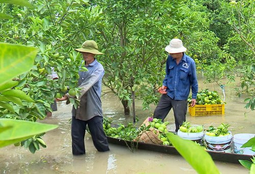 cam-chay-lu-7662-1536669083