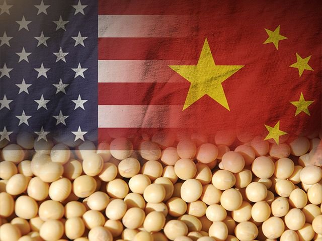 soy