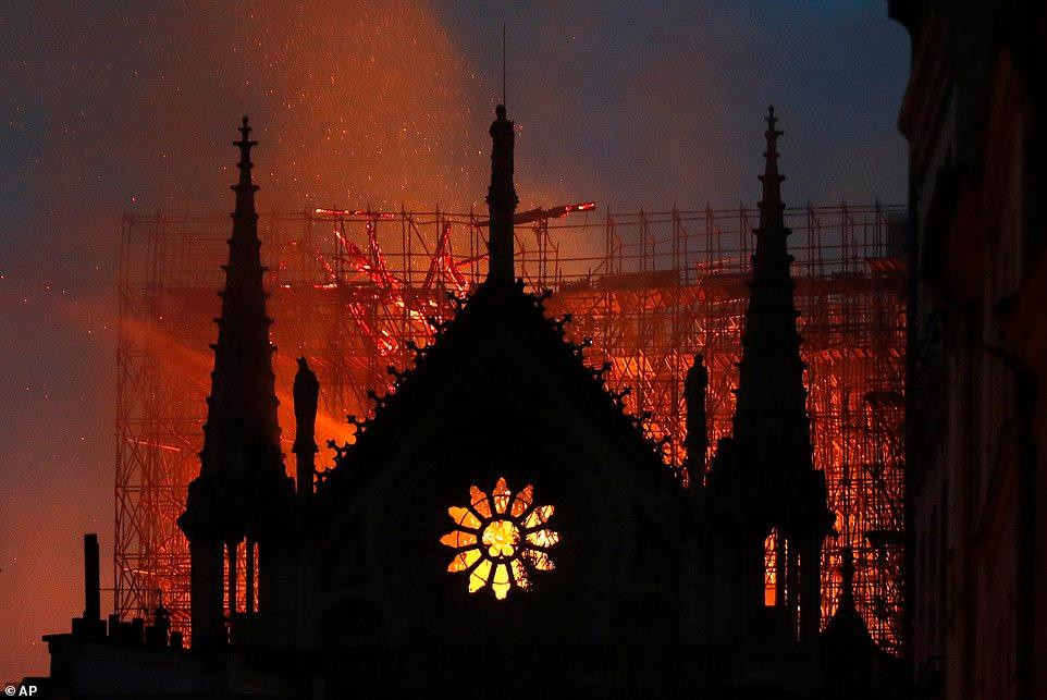 57409170_2201908053235074_9009235799383736320_n 9