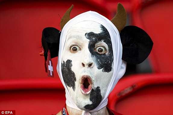 1466002597444_lc_galleryImage_epa05366971_A_Swiss_fan_c