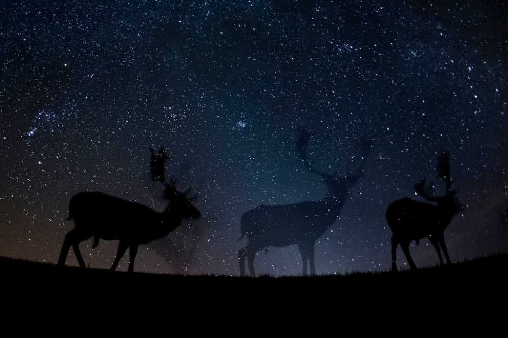 13lensWPressslide86F1jumbo