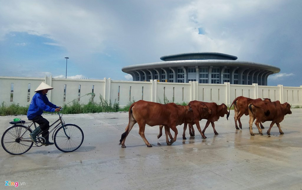 Nha thi dau 1.000 ty xay xong bo khong giua canh dong hinh anh 7