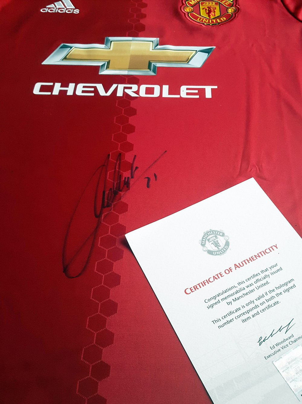 22171568_1961221397223080_1098264715_o 3